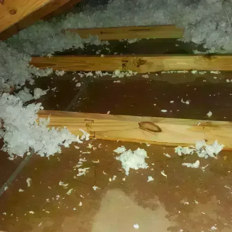 Attic Water Damage in Darby, PA