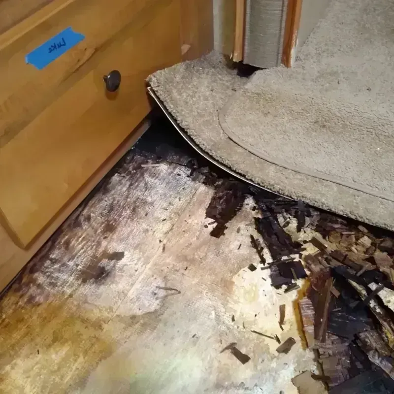 Wood Floor Water Damage in Darby, PA